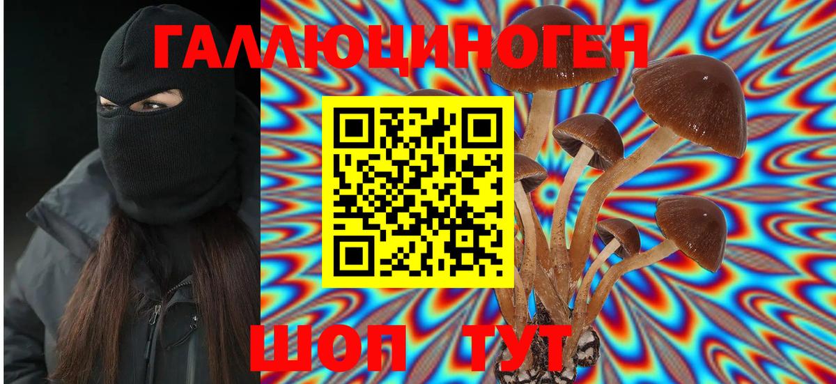 Галлюциногенные грибы мухоморы Дербент