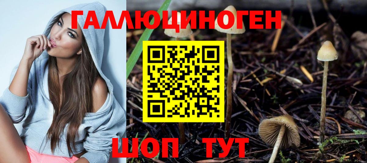 Дербент  Псилоцибиновые грибы Psilocybine cubensis  Вход с VPN 